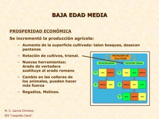 BAJA EDAD MEDIA PROSPERIDAD ECONÓMICA Se incrementó la producción agrícola: Aumento de la superficie cultivada: talan bosques, desecan pantanos  Rotación de cultivos, trienal. Nuevas herramientas:  Arado de vertedera  sustituye al arado romano Cambio en las colleras de los animales, pueden hacer  más fuerza Regadíos, Molinos. M. C. García Chimeno IES “Leopoldo Cano” 