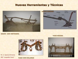 Nuevas Herramientas y Técnicas ARADO  CON VERTEDERA ARADO ROMANO YUGO RÍGIDO YUGO CON COLLERAS M. C. García Chimeno IES “Leopoldo Cano” 