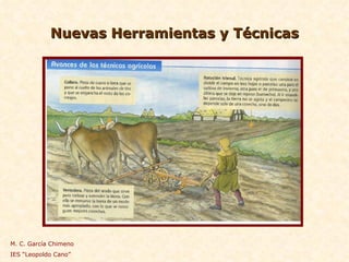 Nuevas Herramientas y Técnicas M. C. García Chimeno IES “Leopoldo Cano” 