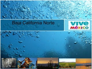 Baja California Norte 