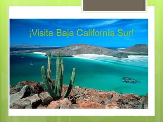 ¡Visita Baja California Sur!
 