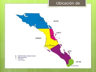 Ubicación de
Municipios
 
