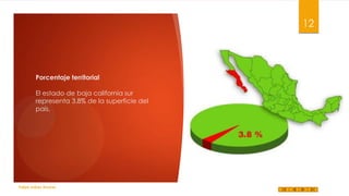 12

Porcentaje territorial
El estado de baja california sur
representa 3.8% de la superficie del
país.

Felipe Juárez Alvarez

 