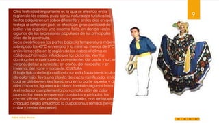 Otra festividad importante es la que se efectúa en la
región de los cabos, pues por su naturaleza turística las
fiestas adquieren un sabor diferente y en los días en que se
festeja al señor san josé, se efectúan gran cantidad de
bailes y se organiza una enorme feria, en donde verán
algunas de las expresiones populares de los principales
sitios de la península.
Seco desértico en las partes bajas; la temperatura máxima
sobrepasa los 40°C en verano y la mínima, menos de 0°C
en invierno; sólo en la región de los cabos el clima es
cálido subhúmedo, influido por los ciclones. Vientos
dominantes en primavera, provenientes del oeste y sur; en
verano, del sur y suroeste; en otoño, del noroeste; y en
invierno, del norte y noroeste. CULTURA
El traje típico de baja california sur es la falda semicircular
de color rojo, lleva una planta de cacto ramificada, en la
cual se distribuyen tres flores, una en la parte superior y dos
a los costados, iguales a la blusa; también algunos frutos.
A el rededor complementa con amplio olán de color
blanco; los tonos en que van bordados y pintados, los
cactos y flores son verdes, rosa y amarillo, con lentejuela y
chaquira negra simulando la pulpaconsus semillas (lleva
collar y aretes de perlas).
Felipe Juárez Alvarez

9

 