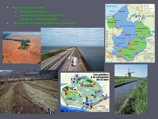 Nuevas roturaciones: talado de bosques desecación de tierras del mar  (Polders, en Países Bajos) Utilización de abono (estiércol y margado) 