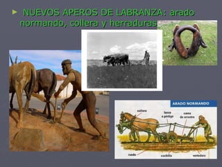 NUEVOS APEROS DE LABRANZA: arado normando, collera y herraduras. 