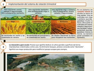 2
Implementación del sistema de rotación trimestral
2
La roturación a gran escala: Proceso que significó dedicar al cultivo grandes superficies de tierras
improductivas o destinadas a otros usos. Se eliminaron bosques, proceso conocido como "desmonte".
Significó una mayor producción pero modificó el paisaje europeo para siempre.
3
 
