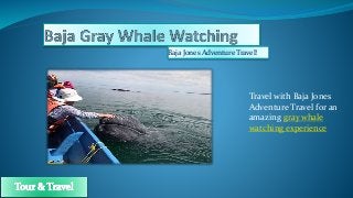 Baja Jones Adventure Travel!
Travel with Baja Jones
Adventure Travel for an
amazing gray whale
watching experience
 