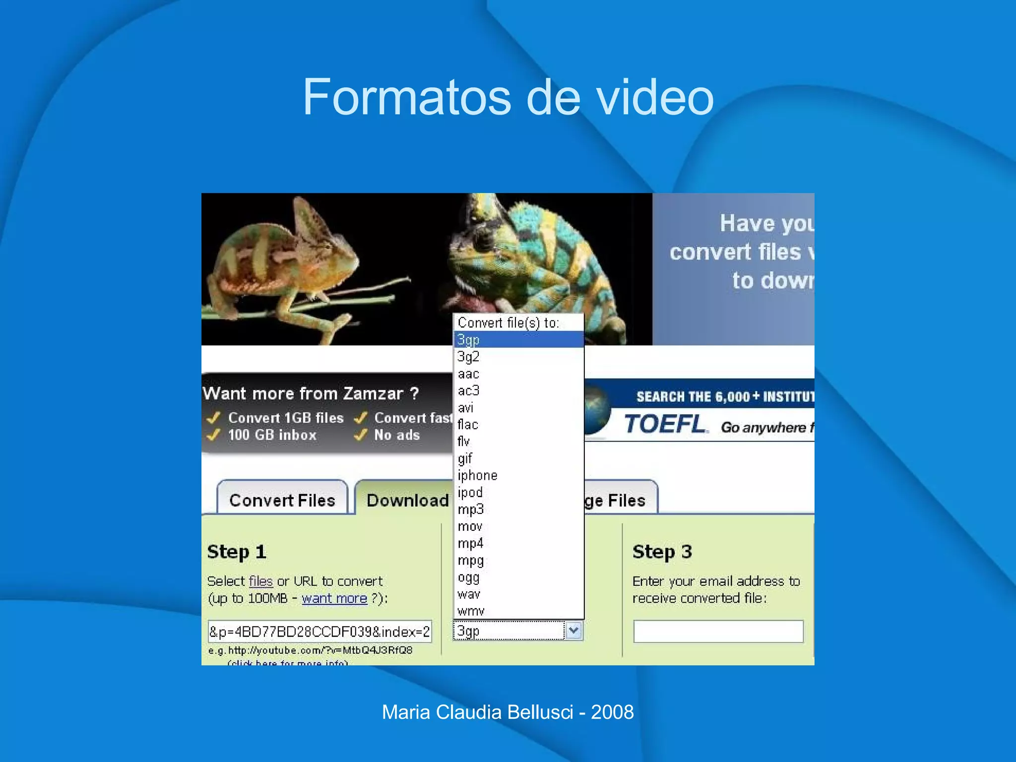 Formatos de video Maria Claudia Bellusci - 2008 