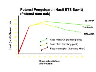 0
5
10
15
20
25
30
35
40
1 3 5 7 9 11 13 15 17 19 21 23 25
Umur pokok (tahun)
ayo ton palm
Hasil(tan/hk/th)namnak
Fasa meningkat ( kamlang khen)
Fasa pleto (kamlang peak)
Fasa menurun (kamlang long)
Potensi Pengeluaran Hasil BTS Sawit)
(Potensi nam nak)
35 TAHUN
THAILAND
MALAYSIA
 