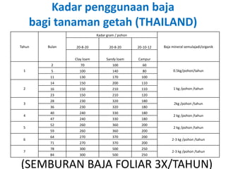 Tahun Bulan
Kadar gram / pohon
Baja mineral semulajadi/organik20-8-20 20-8-20 20-10-12
Clay loam Sandy loam Campur
1
2 70 100 60
0.5kg/pohon/tahun5 100 140 80
11 130 170 100
2
14 150 200 110
1 kg /pohon /tahun16 150 210 110
23 150 210 120
3
28 230 320 180
2kg /pohon /tahun
36 230 320 180
4
40 240 330 180
2 kg /pohon /tahun
47 240 330 180
5
52 260 360 200
2 kg /pohon /tahun
59 260 360 200
6
64 270 370 200
2-3 kg /pohon /tahun
71 270 370 200
7
78 300 500 250
2-3 kg /pohon /tahun
84 300 500 250
Kadar penggunaan baja
bagi tanaman getah (THAILAND)
(SEMBURAN BAJA FOLIAR 3X/TAHUN)
 