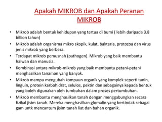 Apakah MIKROB dan Apakah Peranan
MIKROB
• Mikrob adalah bentuk kehidupan yang tertua di bumi ( lebih daripada 3.8
billion tahun)
• Mikrob adalah organisma mikro skopik, kulat, bakteria, protozoa dan virus
jenis mikrob yang berbeza.
• Terdapat mikrob pemusnah (pathogen). Mikrob yang baik membantu
haiwan dan manusia.
• Kombinasi antara mikrob-mikrob yang baik membantu petani-petani
menghasilkan tanaman yang banyak.
• Mikrob mampu mengubah kompaun organik yang komplek seperti tanin,
linguin, protein karbohidrat, selulos, pektin dan sebagainya kepada bentuk
yang boleh digunakan oleh tumbuhan dalam proses pertumbuhan.
• Mikrob membantu menghasilkan tanah dengan menggabungkan secara
fizikal jisim tanah. Mereka menghasilkan glomalin yang bertindak sebagai
gam untk mencantum jisim tanah liat dan bahan organik.
 
