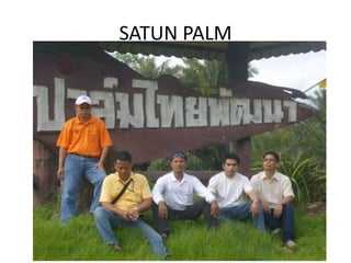 SATUN PALM
 