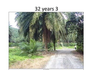 32 years 3
 