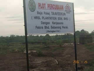 Baja tani