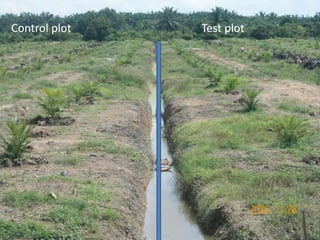 Control plot Test plot
 