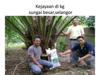 Kejayaan di kg
sungai besar,selangor
 