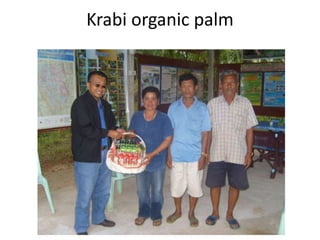 Krabi organic palm
 