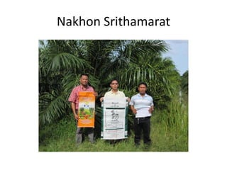 Nakhon Srithamarat
 