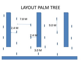 LAYOUT PALM TREE
7.8 M
2.4 M
2.4 M
3.0 M
9.0 M
 