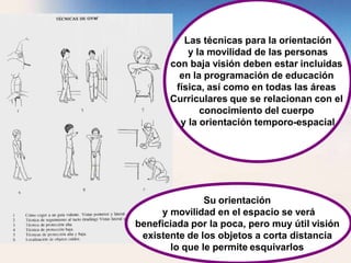 Las técnicas para la orientación
y la movilidad de las personas
con baja visión deben estar incluidas
en la programación de educación
física, así como en todas las áreas
Curriculares que se relacionan con el
conocimiento del cuerpo
y la orientación temporo-espacial
Su orientación
y movilidad en el espacio se verá
beneficiada por la poca, pero muy útil visión
existente de los objetos a corta distancia
lo que le permite esquivarlos
 