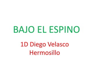 BAJO EL ESPINO
1D Diego Velasco
Hermosillo
 
