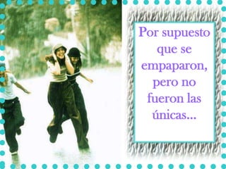 Por supuesto
   que se
empaparon,
  pero no
 fueron las
  únicas...
 