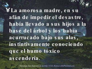 La amorosa madre, en su afán de impedir el desastre, había llevado a sus hijos a la base del árbol y los había acurrucado bajo sus alas, instintivamente conociendo que el humo tóxico ascendería.   Descarga mas diapositivas en  http://www.RenuevoDePlenitud.com 