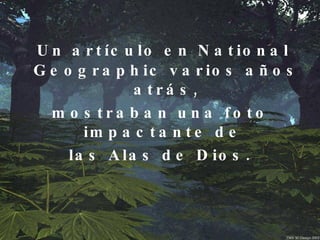 Un artículo en National Geographic varios años atrás, mostraban una foto impactante de  las Alas de Dios.  