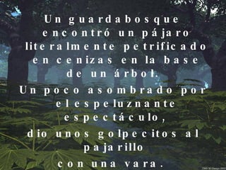 Un guardabosque encontró un pájaro literalmente petrificado en cenizas en la base de un árbol.  Un poco asombrado por el espeluznante espectáculo,  dio unos golpecitos al pajarillo  con una vara.  Cuando lo hizo tres diminutos polluelos se escabulleron bajo las alas de su madre ya muerta.  