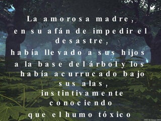 La amorosa madre,  en su afán de impedir el desastre,  había llevado a sus hijos  a la base del árbol y los había acurrucado bajo sus alas, instintivamente conociendo  que el humo tóxico ascendería.  