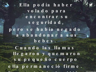 Ella podía haber volado para encontrar su seguridad,  pero se había negado a abandonar a sus bebes.  Cuando las llamas llegaron y quemaron su pequeño cuerpo  ella permaneció firme.  Porque había decidido morir para que aquellos que estaban bajo sus alas pudiesen vivir. 