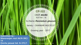 CP-322
ALLPPT.com _ Free PowerPoint Templates, Diagrams and Charts
CROP-BAJRA
PLOT NO - 18
Sci.Name-Pennisetum glaucum
Variety – SHANKAR MULTICUT
Growing year - 2017
Submitted by :
Manoranjan rout Ad.N-36C/
14
Omrita jaiswal Ad. N-37C/1
 