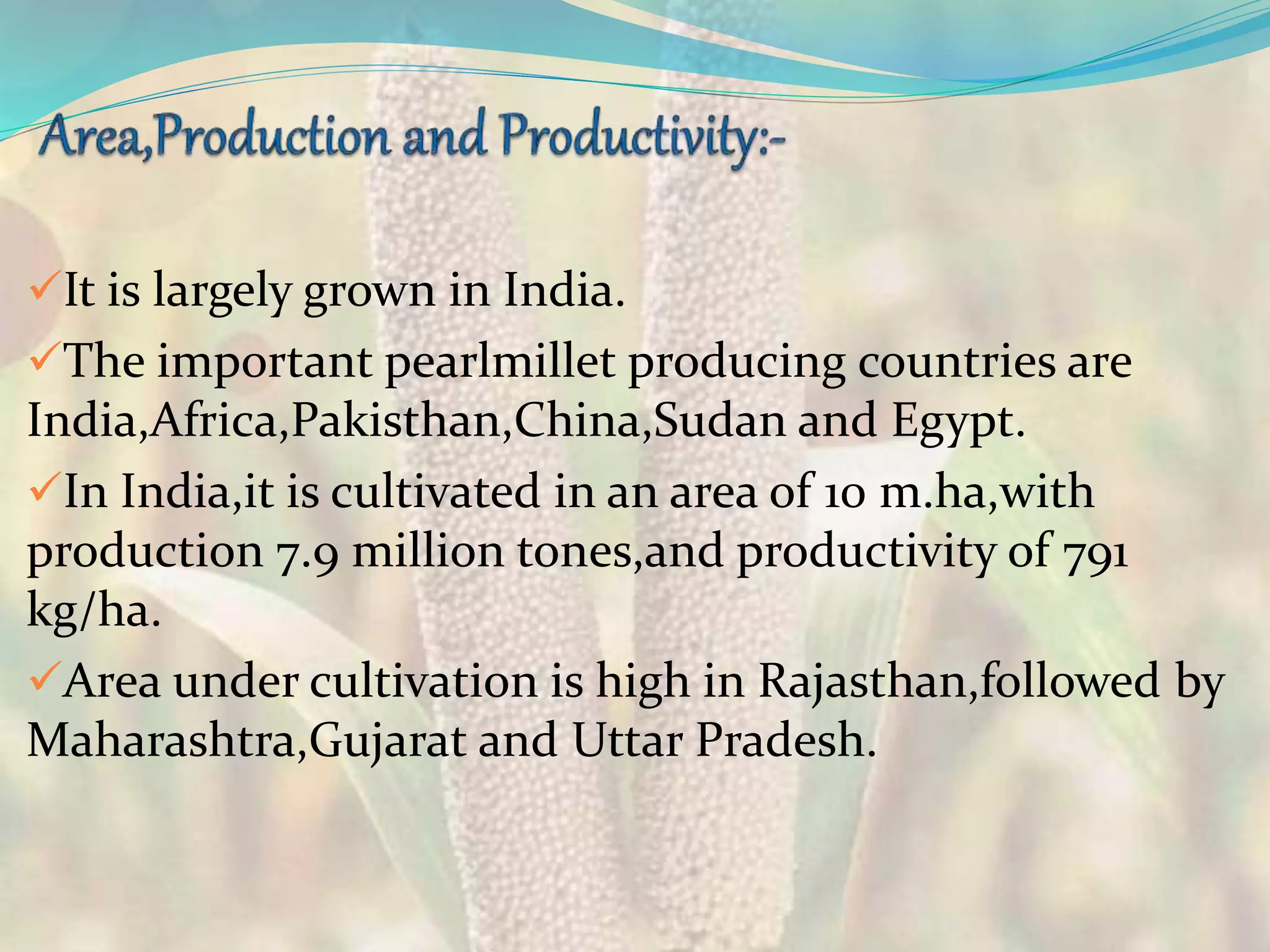 It is largely grown in India.
The important pearlmillet producing countries are
India,Africa,Pakisthan,China,Sudan and Egypt.
In India,it is cultivated in an area of 10 m.ha,with
production 7.9 million tones,and productivity of 791
kg/ha.
Area under cultivation is high in Rajasthan,followed by
Maharashtra,Gujarat and Uttar Pradesh.
 