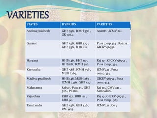 STATES HYBRIDS VARIETIES
Andhra pradhesh GHB 558 , ICMH 356 ,
GK 1004.
Ananth ,ICMV 221.
Gujarat GHB 558 , GHB 577 ,
GHB 538 , RHB 121.
Pusa comp.334 , Raj 171 ,
GICKV 96752.
Haryana HHB 146 , HHB 117 ,
HHB 68 , ICMH 356.
Raj 171 , GICKV 96752 ,
Pusa comp,,334.
Karnataka GHB 588 , ICMH 356 ,
MLBH 267.
ICMV 221 , Pusa
comp..334.
Madhya pradhesh HHB 146, MLBH 285 ,
ICMH 3356 , GHB 577.
GICKV 96752 , Pusa
comp 334.
Maharastra Saburi, Pusa 23 , GHB
526 , PB 180 .
Raj 171, ICMV 221 ,
Samruddhi.
Rajasthan RHB 127 , RHB 121 ,
RHB 90.
Raj 171, GICKV 96752 ,
Pusa comp , 383
Tamil nadu GHB 558 , GBH 526 ,
PAC 903.
ICMV 221 , Co 7
 