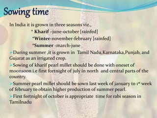 In India it is grown in three seasons viz.,
* Kharif –june-october [rainfed]
*Winter-november-february [rainfed]
*Summer -march-june
During summer ,it is grown in Tamil Nadu,Karnataka,Punjab, and
Gujarat as an irrigated crop.
Sowing of kharif pearl millet should be done with oneset of
moonsoon i.e first fortnight of july in north and central parts of the
country.
Summer pearl millet should be sown last week of january to 1st week
of february to obtain higher production of summer pearl.
First fortnight of october is appropriate time for rabi season in
Tamilnadu
 