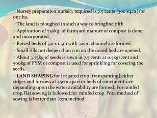 Nursey preparation:nursery required is 7.5 cents [300 sq.m] for
one ha.
The land is ploughed in such a way to bringfine tilth
Application of 750kg of farmyard manure or compost is done
and incorporated.
Raised beds of 3.0 x 1.5m with 30cm channel are formed.
Small rills not deeper than 1cm on the raised bed are opened.
About 3.75kg of seeds is sown in 7.5 cents at 0.5kg/cent and
500kg of FYM or compost is used for sprinkling for covering the
seeds.
LAND SHAPING:for irrigated crop [transpanting],either
ridges and furrows at 45cm apart or beds of convinient size
depanding upon the water availability are formed. For rainfed
crop,Flat sowing is followed.for rainfed crop Pora method of
sowing is better than kera method.
 