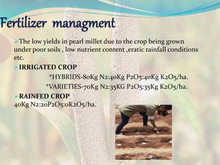 The low yields in pearl millet due to the crop being grown
under poor soils , low nutrient content ,eratic rainfall conditions
etc.
IRRIGATED CROP
*HYBRIDS-80Kg N2:40Kg P2O5:40Kg K2O5/ha.
*VARIETIES-70Kg N2:35KG P2O5:35Kg K2O5/ha.
RAINFED CROP
40Kg N2:20P2O5:0K2O5/ha.
 