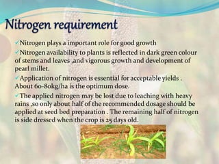 Nitrogen plays a important role for good growth
Nitrogen availability to plants is reflected in dark green colour
of stems and leaves ,and vigorous growth and development of
pearl millet.
Application of nitrogen is essential for acceptable yields .
About 60-80kg/ha is the optimum dose.
The applied nitrogen may be lost due to leaching with heavy
rains ,so only about half of the recommended dosage should be
applied at seed bed preparation . The remaining half of nitrogen
is side dressed when the crop is 25 days old.
 