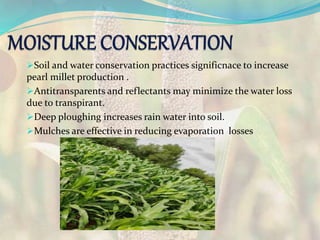 Soil and water conservation practices significnace to increase
pearl millet production .
Antitransparents and reflectants may minimize the water loss
due to transpirant.
Deep ploughing increases rain water into soil.
Mulches are effective in reducing evaporation losses
 
