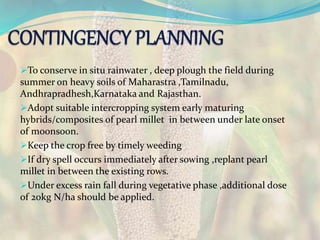 To conserve in situ rainwater , deep plough the field during
summer on heavy soils of Maharastra ,Tamilnadu,
Andhrapradhesh,Karnataka and Rajasthan.
Adopt suitable intercropping system early maturing
hybrids/composites of pearl millet in between under late onset
of moonsoon.
Keep the crop free by timely weeding
If dry spell occurs immediately after sowing ,replant pearl
millet in between the existing rows.
Under excess rain fall during vegetative phase ,additional dose
of 20kg N/ha should be applied.
 