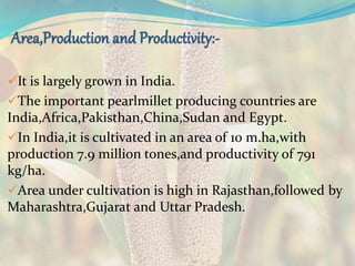 It is largely grown in India.
The important pearlmillet producing countries are
India,Africa,Pakisthan,China,Sudan and Egypt.
In India,it is cultivated in an area of 10 m.ha,with
production 7.9 million tones,and productivity of 791
kg/ha.
Area under cultivation is high in Rajasthan,followed by
Maharashtra,Gujarat and Uttar Pradesh.
 