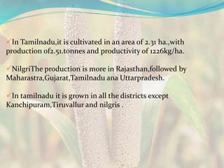 In Tamilnadu,it is cultivated in an area of 2.31 ha.,with
production of2.51.tonnes and productivity of 1226kg/ha.
NilgriThe production is more in Rajasthan,followed by
Maharastra,Gujarat,Tamilnadu ana Uttarpradesh.
In tamilnadu it is grown in all the districts except
Kanchipuram,Tiruvallur and nilgris .
 