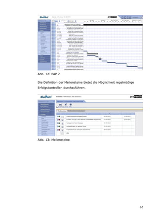 Abb. 12: PAP 2

Die Definition der Meilensteine bietet die Möglichkeit regelmäßige
Erfolgskontrollen durchzuführen.




Abb. 13: Meilensteine




                                                                     62
 