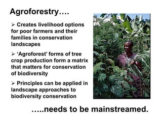 Demystifying the Role of Agroforestry in Biodiversity Conservation ...