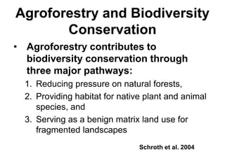 Demystifying the Role of Agroforestry in Biodiversity Conservation ...