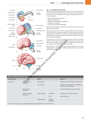 Anatomy for Dental Medicine, 2/e by Baker | PDF