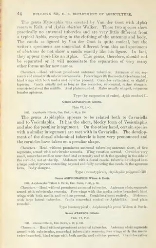 Baker 1920 genericclassification of Aphididae.pdf