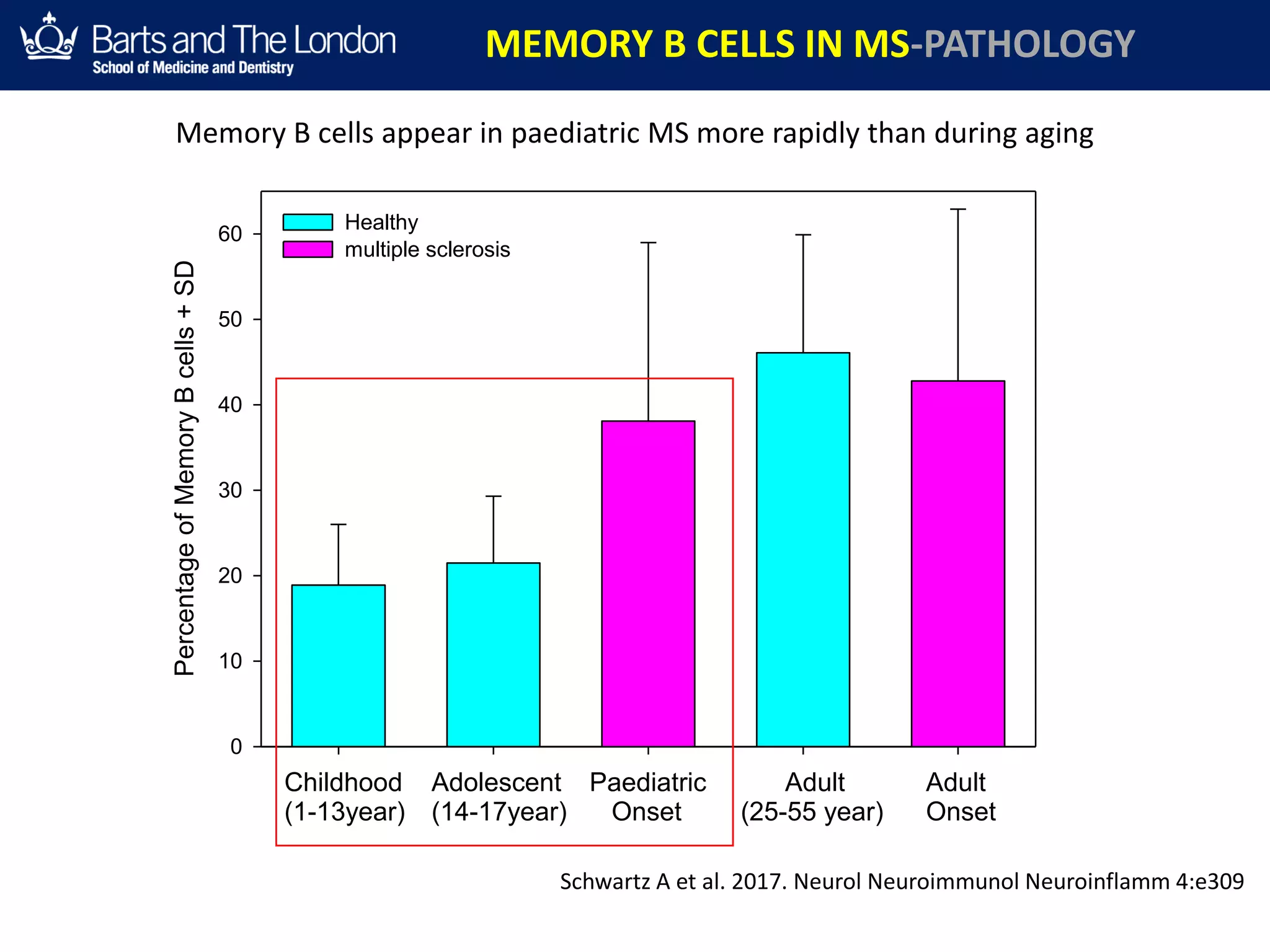 Childhood
(1-13year)
PercentageofMemoryBcells+SD
0
10
20
30
40
50
60
Healthy
multiple sclerosis
Adolescent
(14-17year)
Adult
(25-55 year)
Adult
Onset
Paediatric
Onset
Memory B cells appear in paediatric MS more rapidly than during aging
Schwartz A et al. 2017. Neurol Neuroimmunol Neuroinflamm 4:e309
MEMORY B CELLS IN MS-PATHOLOGY
 