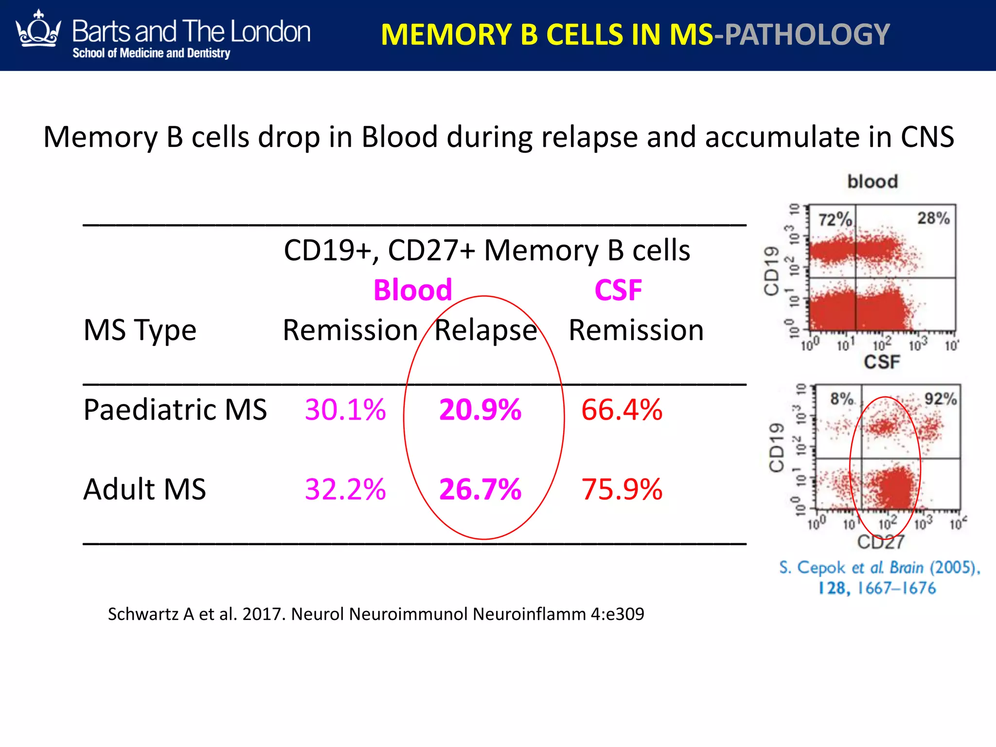________________________________________
CD19+, CD27+ Memory B cells
Blood CSF
MS Type Remission Relapse Remission
________________________________________
Paediatric MS 30.1% 20.9% 66.4%
Adult MS 32.2% 26.7% 75.9%
________________________________________
MEMORY B CELLS IN MS-PATHOLOGY
Schwartz A et al. 2017. Neurol Neuroimmunol Neuroinflamm 4:e309
Memory B cells drop in Blood during relapse and accumulate in CNS
 